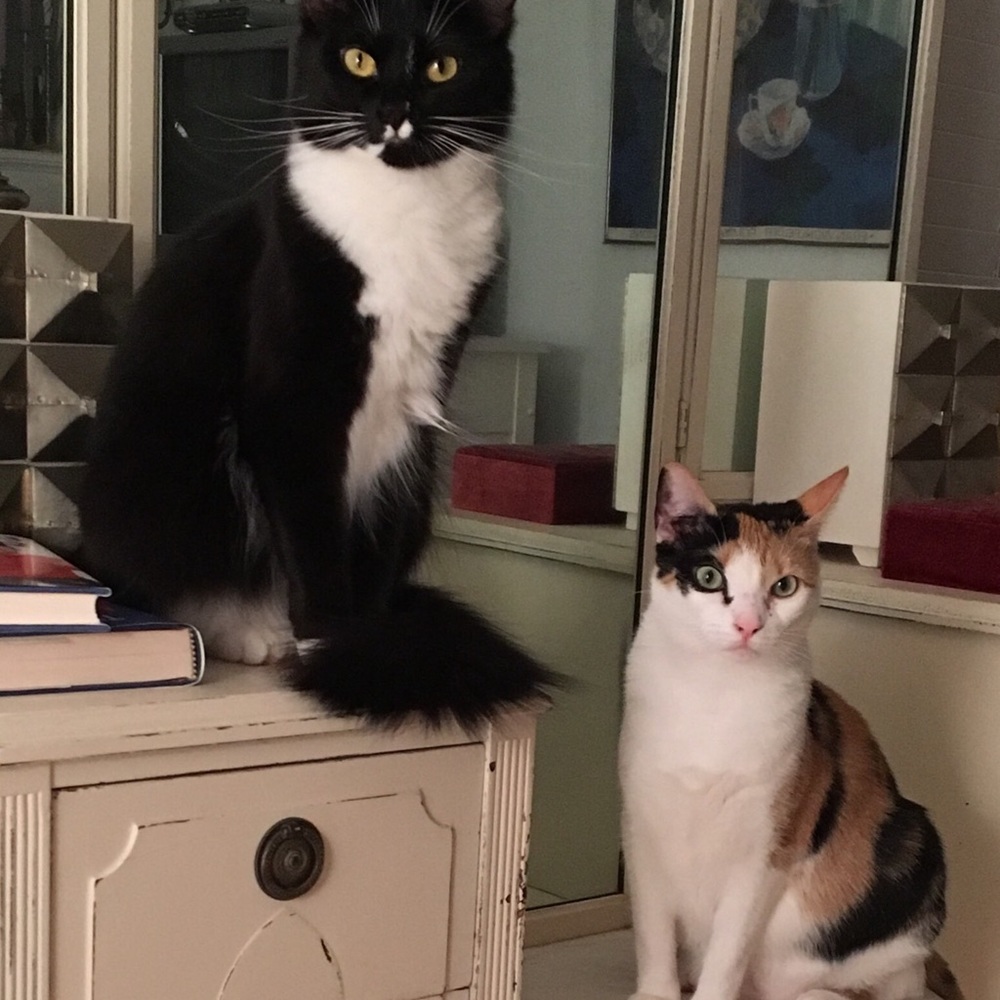 Meet your Posher, Cindy